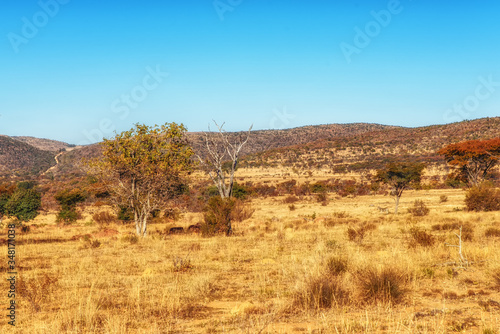 South african landscape, Nature Backgrounds photo