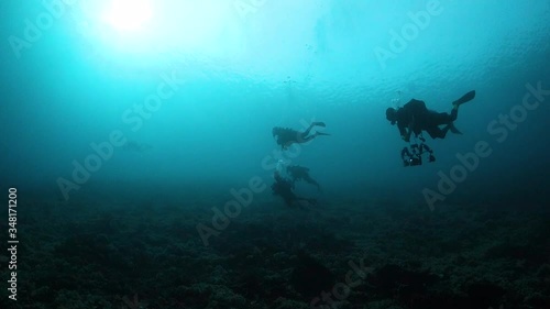 Wallpaper Mural Silhouette of divers swimming over the reef Torontodigital.ca