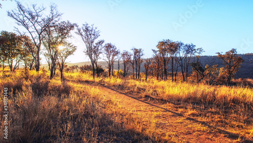 Savannah landscape in South Africa. photo