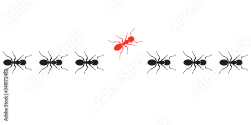 Ants marching or walking and one changing direction. Think differently. Different, unique, leadership, change, new idea, new path, innovation, be yourself business concept. Vector illustration.