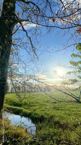 Die Sonne geht auf 