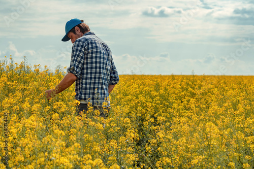 Farmer in blooming canola field photo