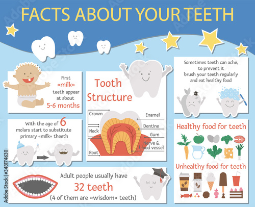 Cute dental care infographics for kids. Vector funny stomatology information poster with cute smiling characters. Teeth facts info picture for children. Dentist baby clinic brochure design. .