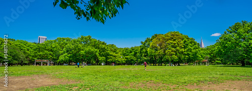 Fototapeta Naklejka Na Ścianę i Meble -  東京 渋谷 代々木公園 ~ Yoyogi Park, one of the largest parks in Tokyo, Japan ~