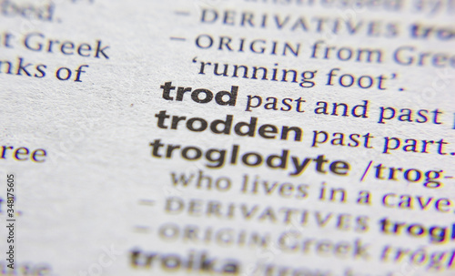 Trod word or phrase in a dictionary.