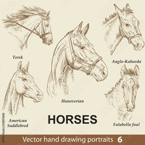Set of hand drawing horses 6