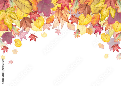 Colorful autumn card.