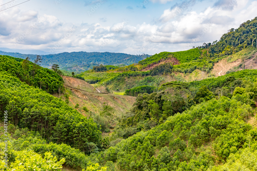 Obraz premium Mountains, hills and jungle landscapes in Vietnam