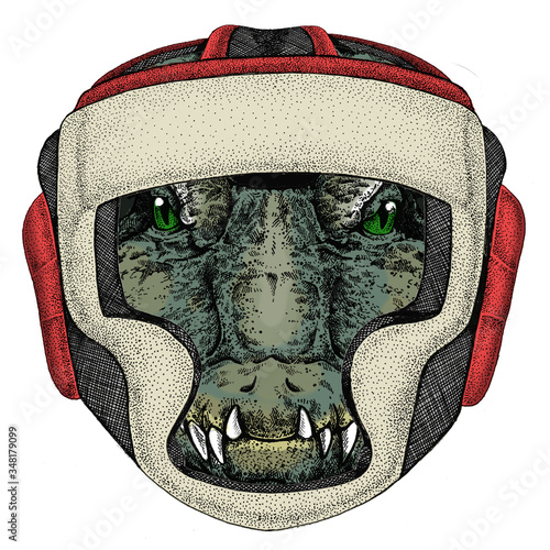 Alligator. Crocodilia. Portrait of african agressive animal. Boxing helmet.