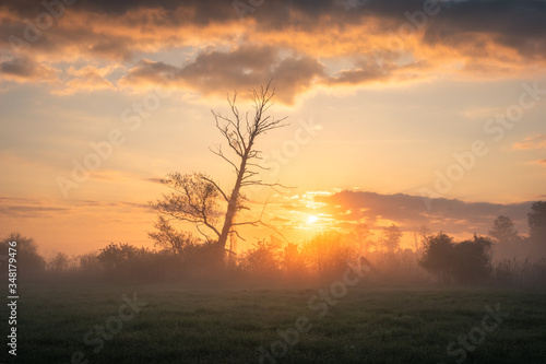 Foggy sunrise in the Jeziorka river valley near Piaseczno, Poland