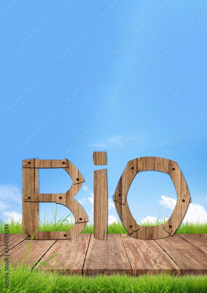 Bio, lettre bio dans l'herbe, concept