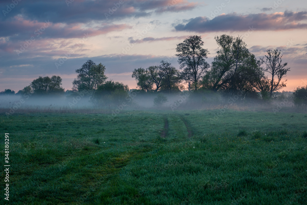 Foggy sunrise in the Jeziorka river valley near Piaseczno, Poland