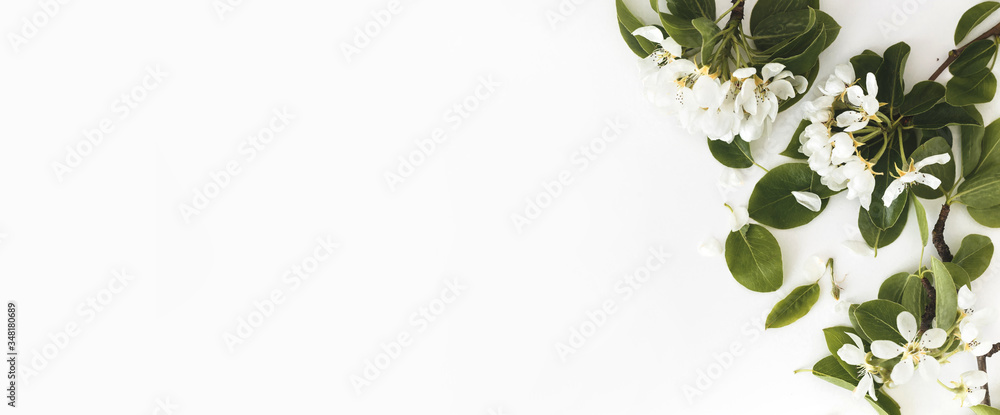 Spring composition. Blooming spring pear branches on a white background, floral frame, top view, flat layout. Spring concept Spring composition. Blooming spring pear branches on a white background, floral frame, top view, flat layout. Spring concept