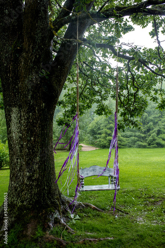 the swing is hanging from a tree branch. Swings with purple ribbons.Old wooden vintage garden swing