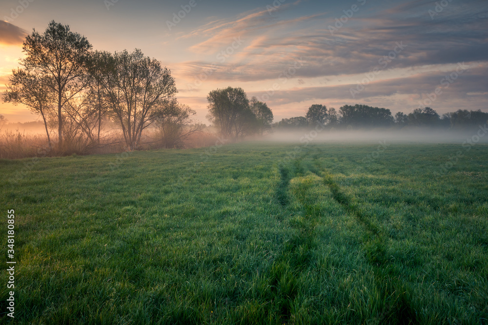 Foggy sunrise in the Jeziorka river valley near Piaseczno, Poland