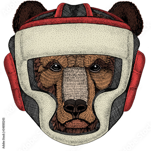 Wild bear. Portrait of animal for emblem, logo, tee shirt. Boxing helmet.