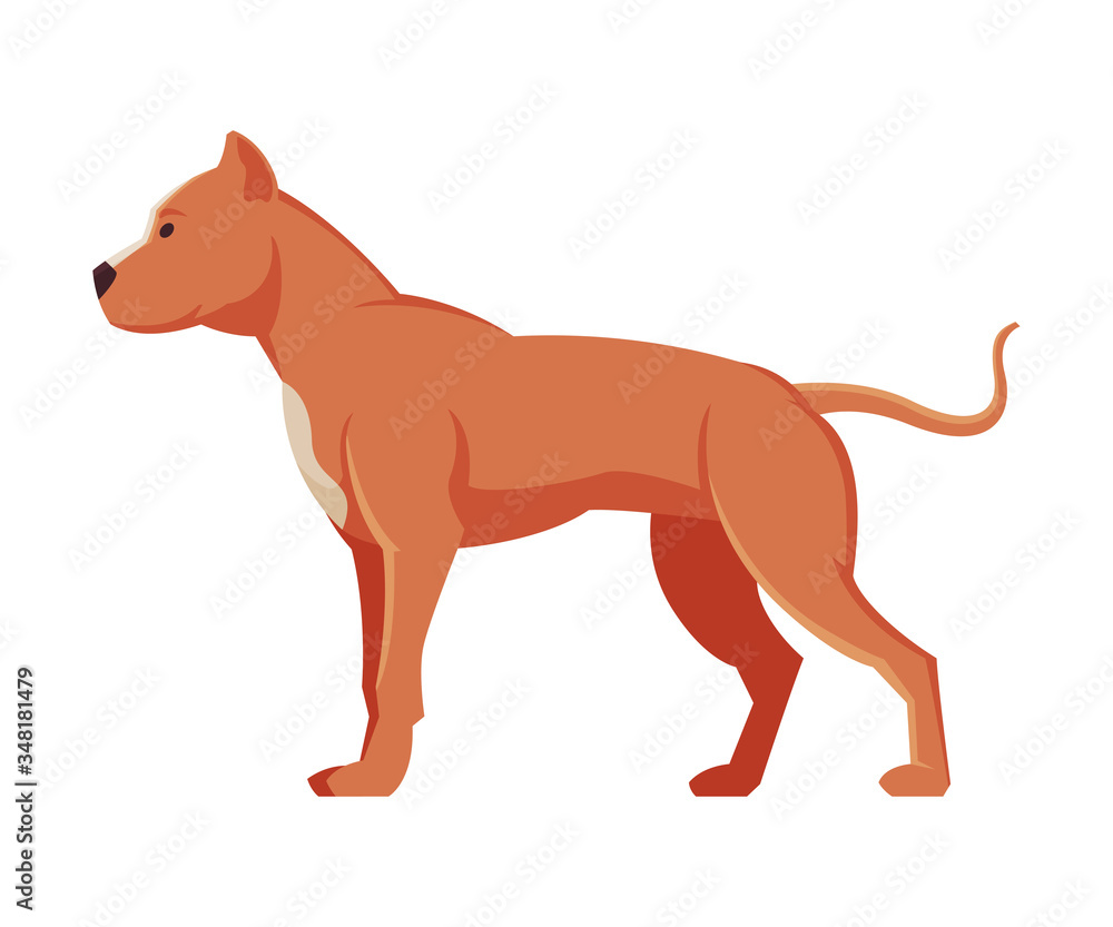 American Bandog Purebred Dog, Pet Animal, Side View Vector Illustration American Bandog Purebred Dog, Pet Animal, Side View Vector Illustration