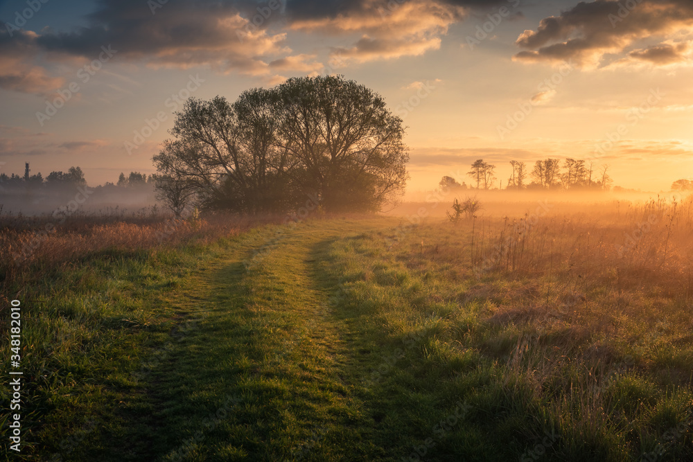 Foggy sunrise in the Jeziorka river valley near Piaseczno, Poland