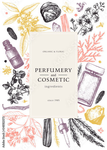 Hand drawn perfumery and cosmetics ingredients design. Decorative background with vintage aromatic plants, fruits, spices, herbs for perfumery. Organic cosmetics card template. Aromatic trendy flyer