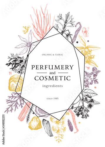 Hand drawn perfumery and cosmetics ingredients design. Decorative background with vintage aromatic plants, fruits, spices, herbs for perfumery. Organic cosmetics card template. Aromatic trendy flyer