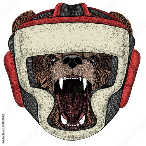 Wild bear. Portrait of animal for emblem, logo, tee shirt. Boxing helmet.