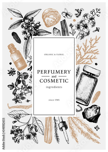 Hand drawn perfumery and cosmetics ingredients vintage flyer. Decorative background with aromatic plants, fruits, spices, herbs for perfumerywith golden foil border