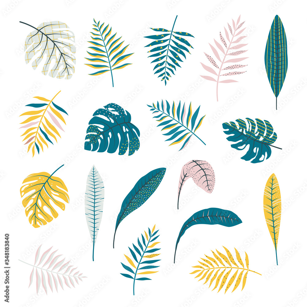 Fototapeta Set of tropical leaves. Vector isolated objects