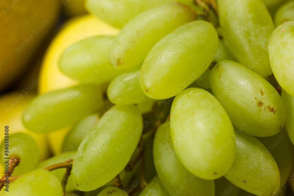 Fresh Fruit Brunch Green Grapes on Shelf in Fresh Fruit market Thailand Travel Background Concept.Green Grapes Fresh Fruit Brunch Green Grapes on Shelf in Fresh Fruit market Thailand Travel Background Concept.Green Grapes