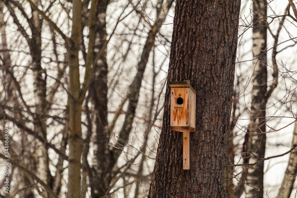 birdhouse hanging on a tree birdhouse hanging on a tree
