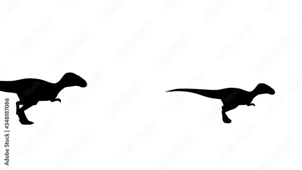 Running dinosaurs, animation on the white background Running dinosaurs, animation on the white background