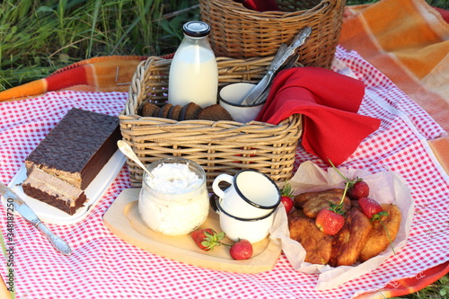 Picnic. Milk, pies, chocolate souffle on a plaid in the field