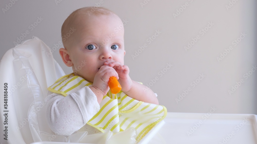 Mother Giving Her Baby A Carrot. Baby Food Concept. Mother Giving Her Baby A Carrot. Baby Food Concept.