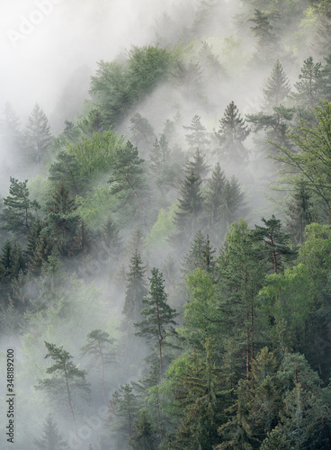 foggy moody morning in saxon switzerland, saxony, germany