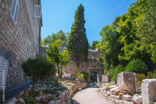 Small garden at Komrcar park in Rab town on Rab island in Croatia photo