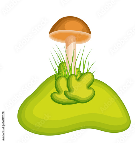 Cartoon mushroom with grass isolated on white vector illustration for background design. Fungi forest autumn plant.