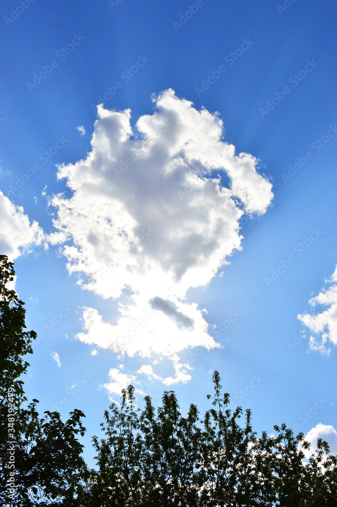 Fototapeta premium big white cloud on the blue sky. light streaks from the sun in the sky
