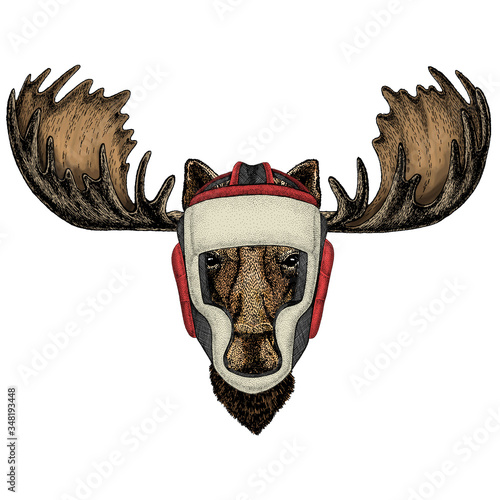 Moose head. Portrait of funny animal. Boxing helmet.