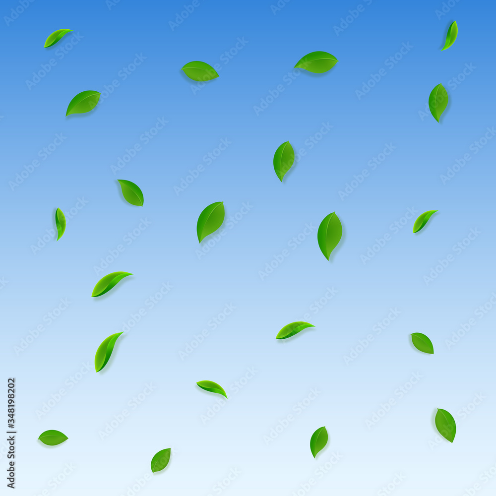 Falling green leaves. Fresh tea random leaves flyi Falling green leaves. Fresh tea random leaves flyi