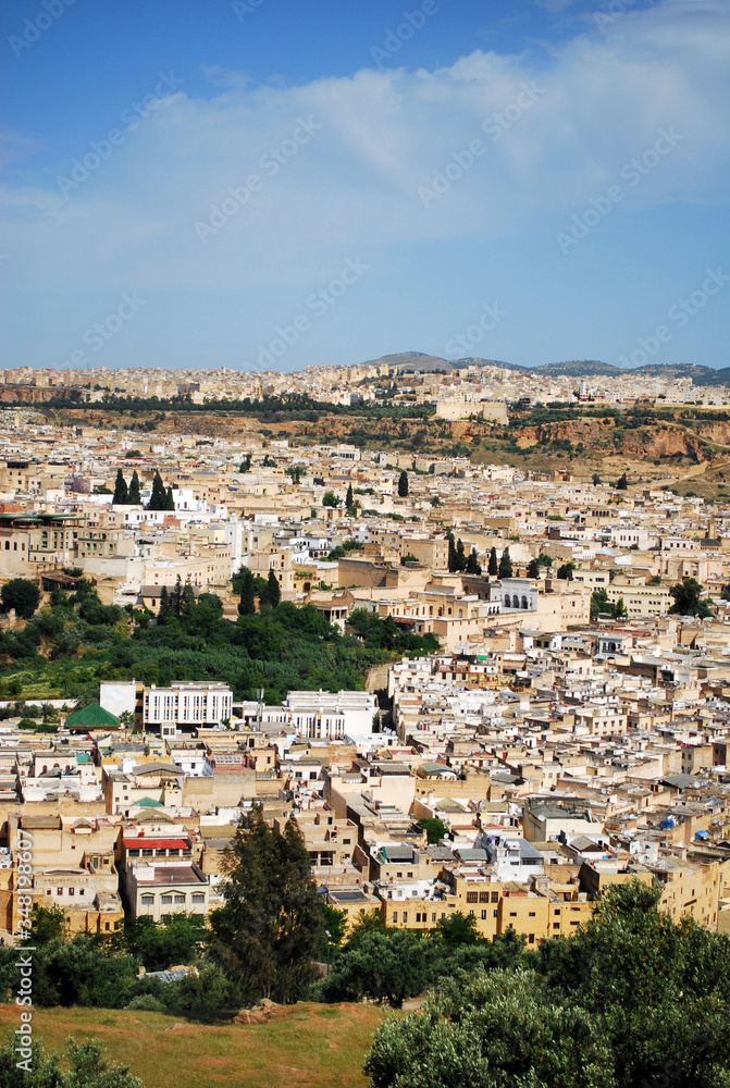 Rooftop Cityscape of Fes, Morocco