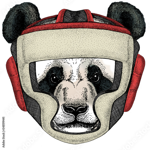 Big panda, bamboo bear portrait. Boxing helmet.