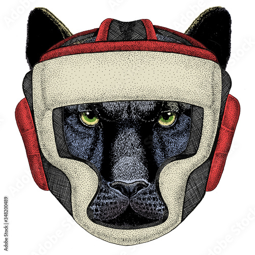 Black panther, puma. Head of animal. Boxing helmet.