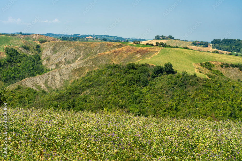 Rural landscape at Rivalta di Lesignano Bagni, Emilia-Romagna Rural landscape at Rivalta di Lesignano Bagni, Emilia-Romagna