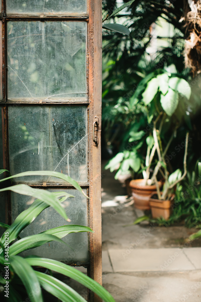 Interior of a garden greenhouse. Old glass door surrounded by plants. Gardening lifestyle. Interior of a garden greenhouse. Old glass door surrounded by plants. Gardening lifestyle.
