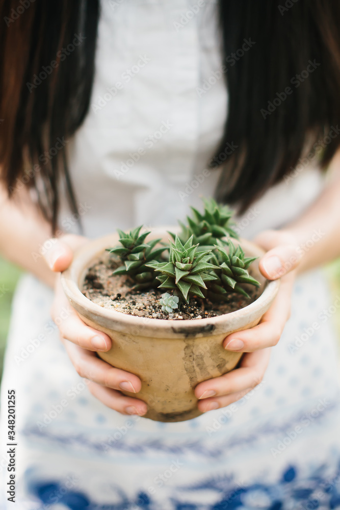 Woman holds pot with succulents in her hands. Echeveria close-up. Garden lifestyle.
