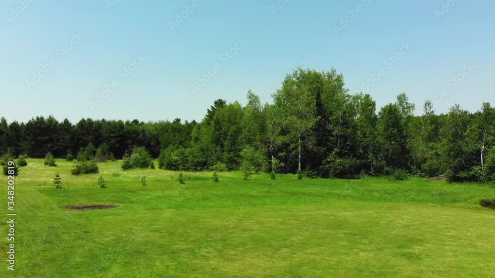 Slow motion shot of green grass and trees blowing in the wind. Slow motion shot of green grass and trees blowing in the wind.