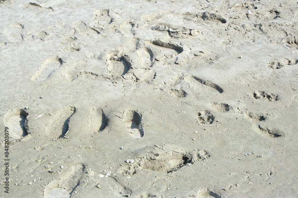 Foot prints in a wet sand on a river shore of the Danube river in Novi Sad Serbia. Foot prints in a wet sand on a river shore of the Danube river in Novi Sad Serbia.
