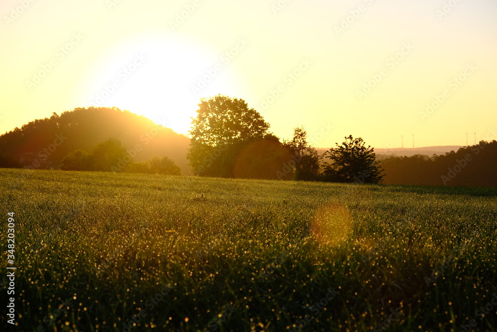 Obraz premium Sonne Morgen