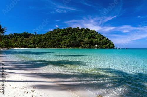 Silhouette of a palm trees in water on tropical paradise beach location Koh Kood island, Thailand