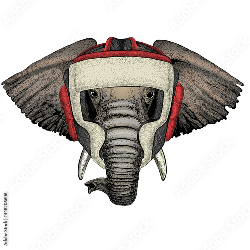Elephant head. Portrait of wild animal. Boxing helmet.