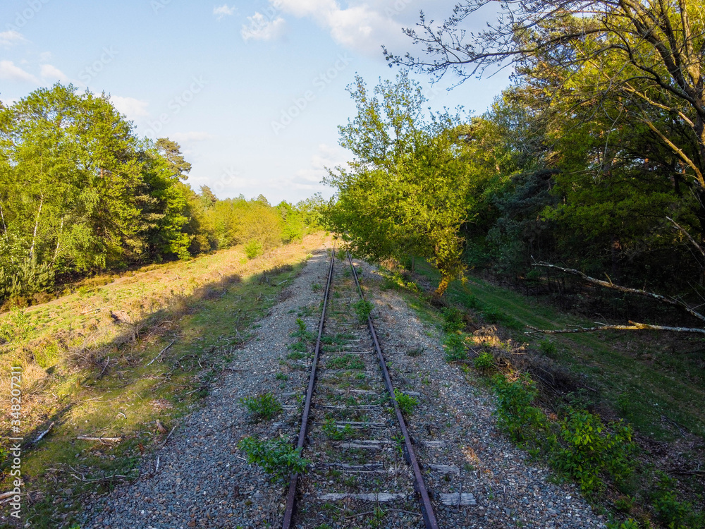 Obraz premium rail road in the forest
